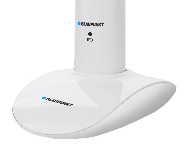 Szczoteczka soniczna do zębów Blaupunkt DTS601