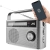 Klasyczne radio przenośne JVC RA-E315G w eleganckiej, szarej obudowie.